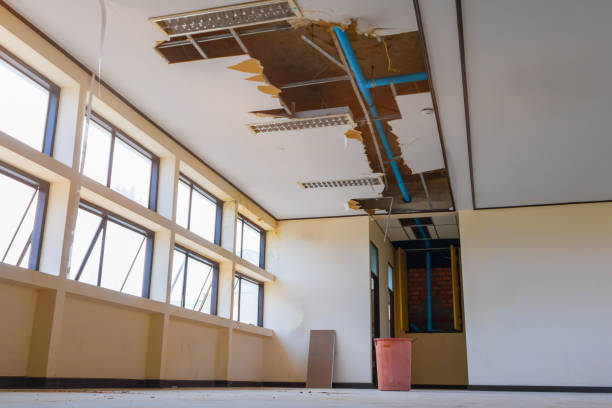 Best Emergency water damage restoration  in St Clair, MI