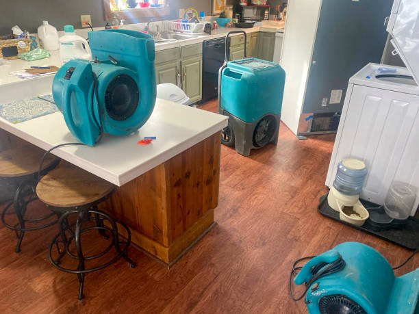 Best Flooded house restoration  in St Clair, MI