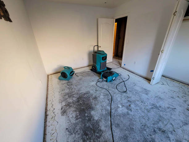 Trusted St Clair, MI Water damage restoration Experts