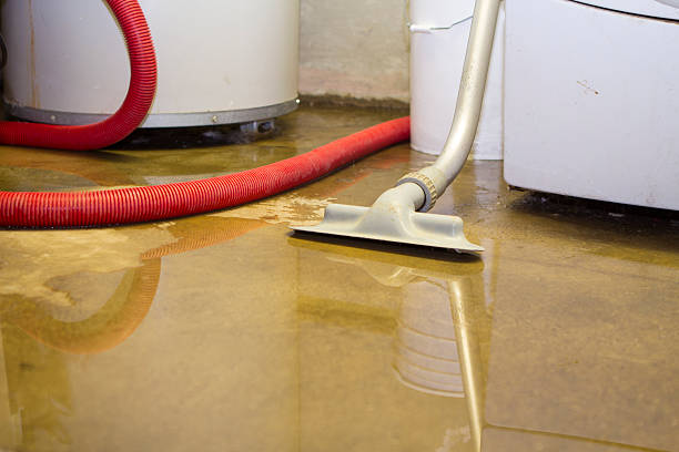 Best Residential water damage restoration  in St Clair, MI