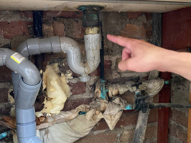 Best Carpet water damage restoration  in St Clair, MI