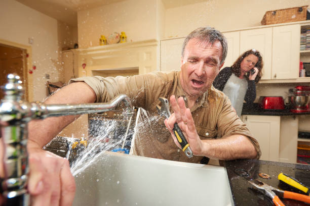 Best Water damage mitigation services  in St Clair, MI